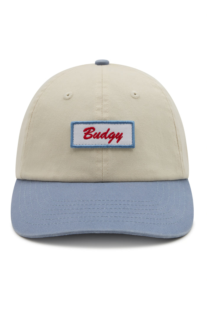 6 Panel Snap Back in Light Blue Budgy Patch