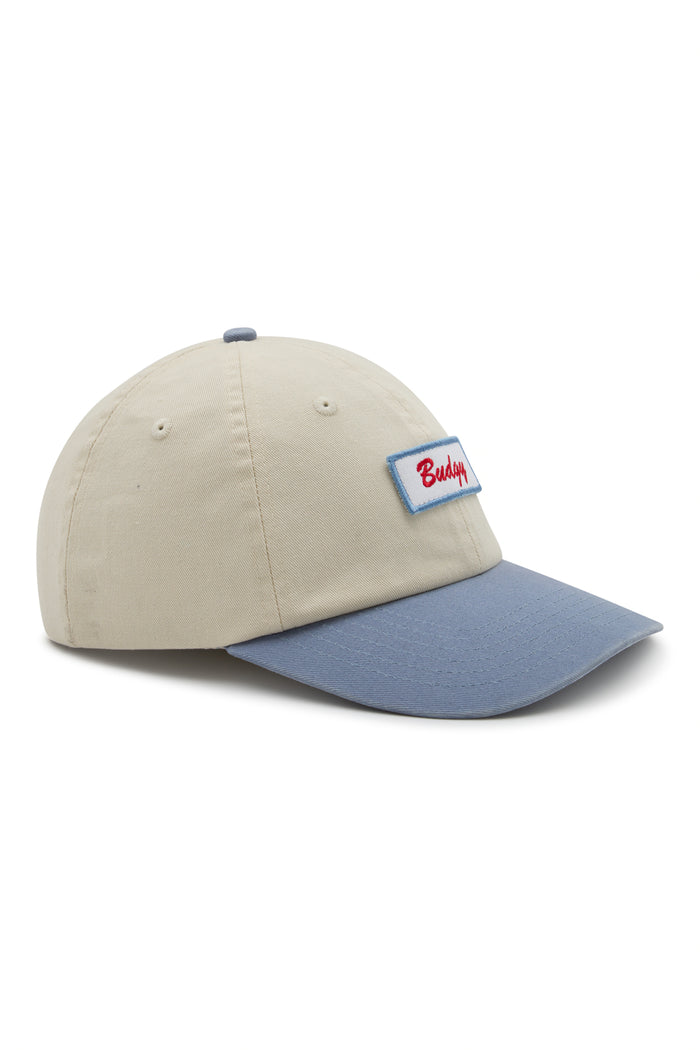 6 Panel Snap Back in Light Blue Budgy Patch