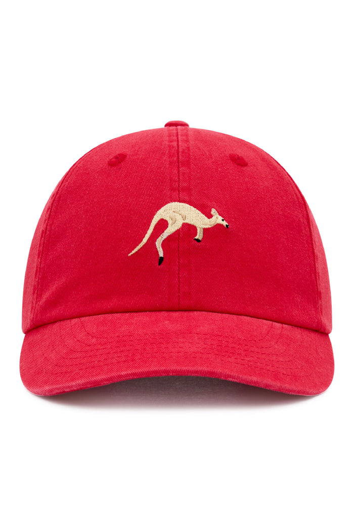 Dad Cap in The Hoppers