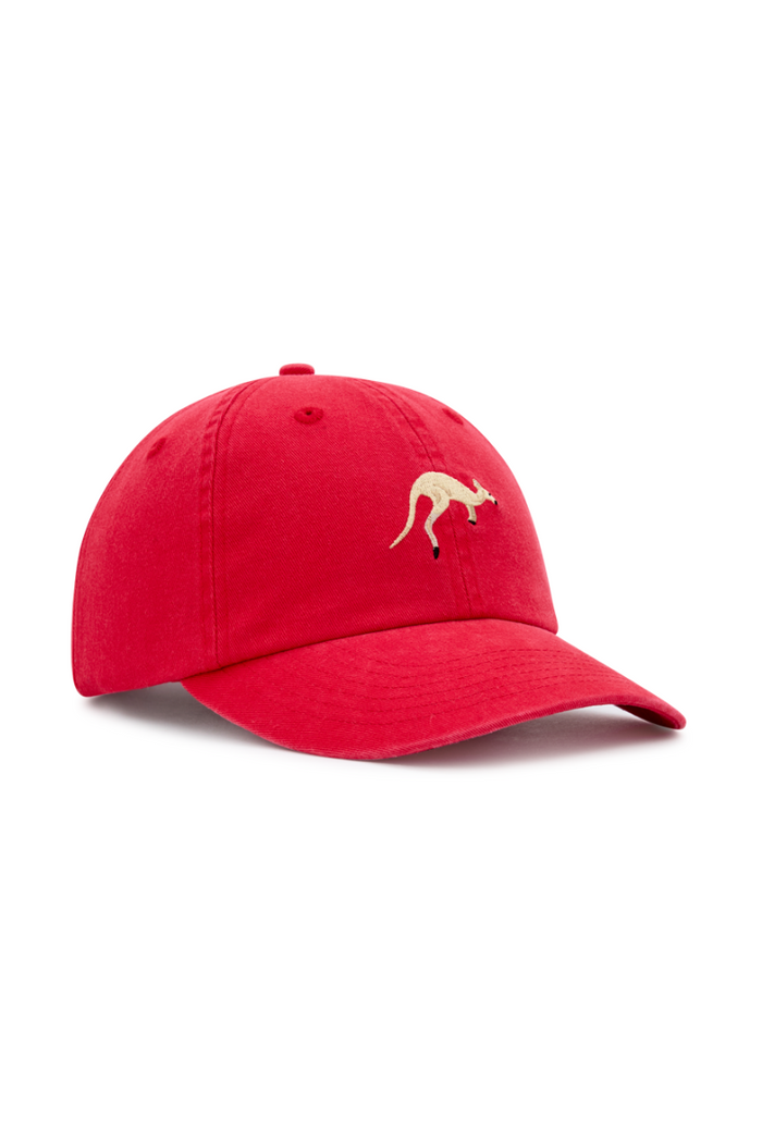 Dad Cap in The Hoppers