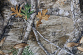 Vortex Diamondback 85 HD Angled Realtree Edge