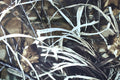 Vortex Viper 85 HD Straight Realtree Max 4