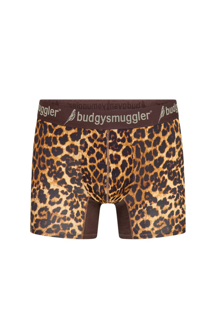 Men's Underwear Trunks in New Money