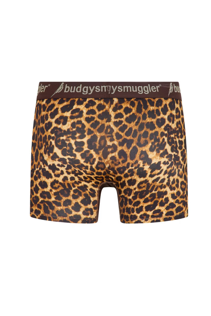 Men's Underwear Trunks in New Money